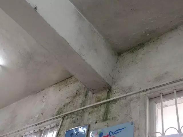 微信图片_20181120170856.jpg vspace="0"